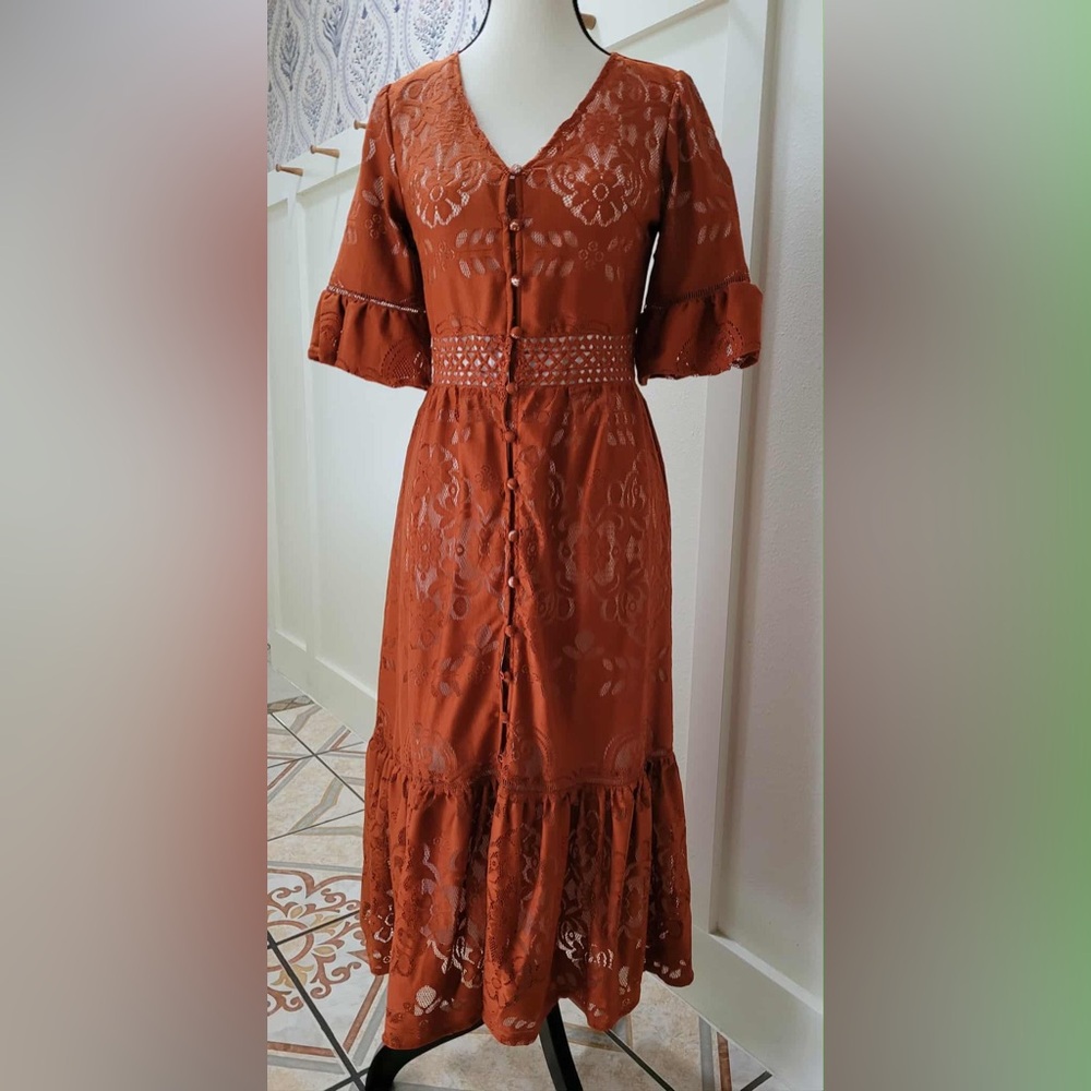 Ivy City Co Lace Button-Down Dress in Rust